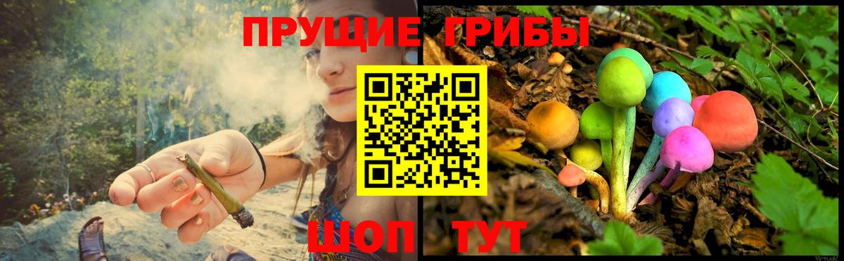 Асбест  Галлюциногенные грибы Psilocybine cubensis  Вход с VPN 